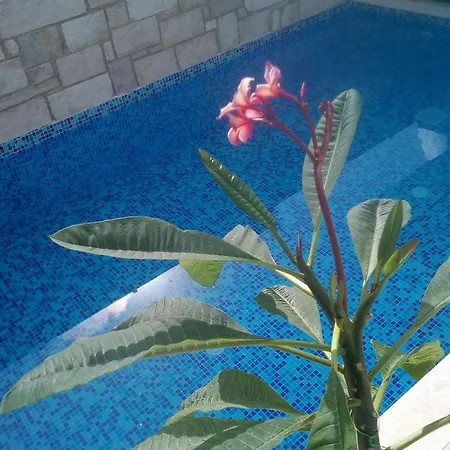 “theeporto” Maisonette With Pool Holiday home *