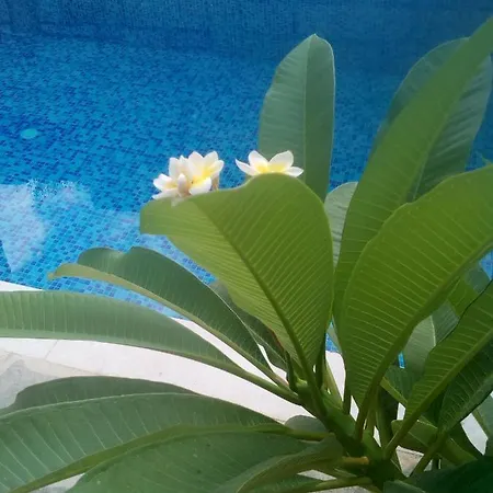 “theeporto” Maisonette With Pool Gouves